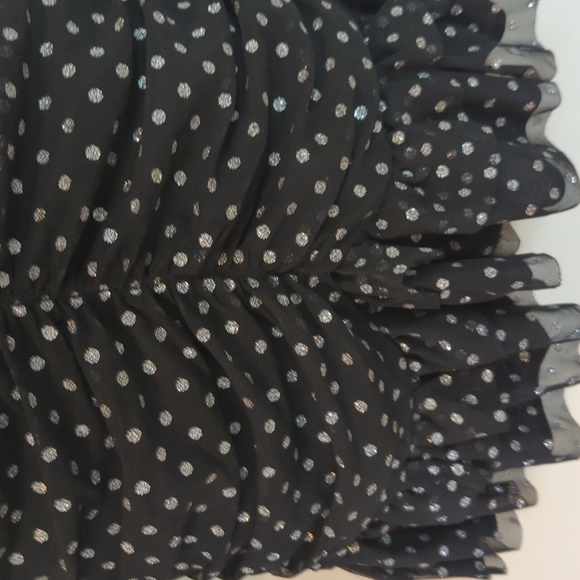 Zara Tulle Silver Dot Swiss Dress - Picture 10 of 16
